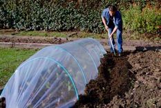 El uso de plástico para cubrir los cultivos es muy común en las zonas muy frías y se recomienda también para evitar daños en las heladas. Créditos: homesandgardens.