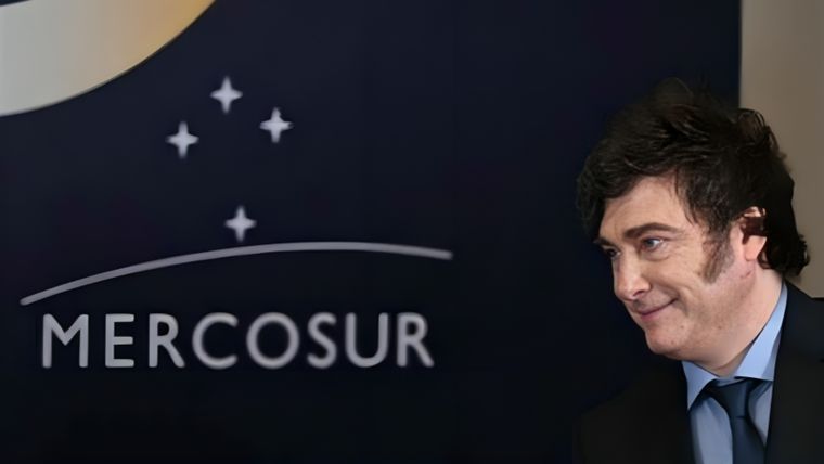 Javier Milei se prepara para una nueva cumbre del Mercosur. Foto: archivo.