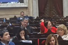 La bronca de los diputados kirchneristas. Foto: Captura de video