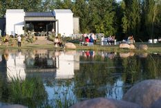 Atardeceres mágicos entre viñedos. Foto: Foto: cortesía Bodega Finca del Nunca Jamás