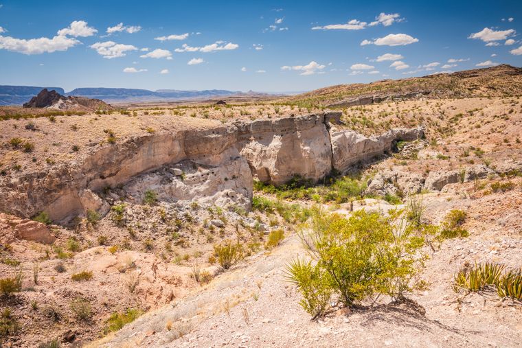 Las pinturas rupestres del sur de Texas forman parte de una tradición artística milenaria que se mantuvo durante miles de años entre antiguas sociedades cazadoras-recolectoras.