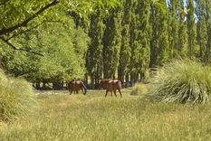 Este pueblo revela una Patagonia silenciosa, amplia y poco explorada.