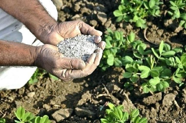 Usa azufre para combatir plagas y hongos en el jardín