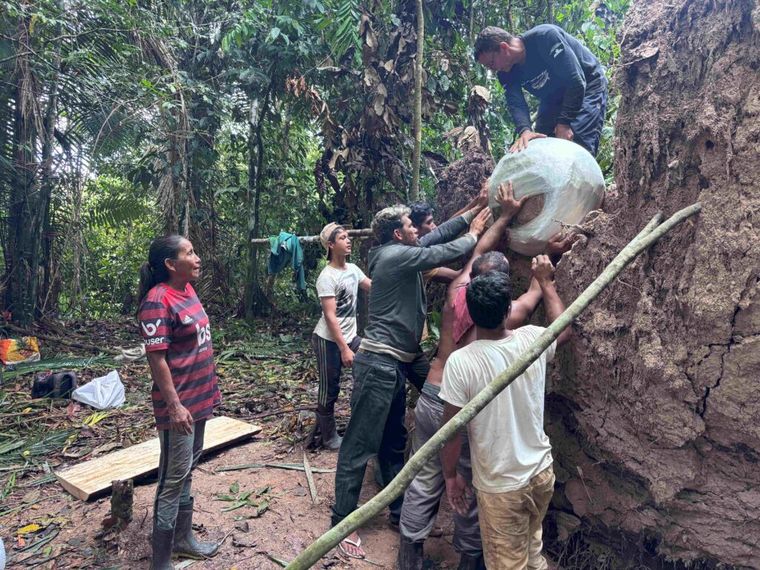 El descubrimiento, realizado con colaboración comunitaria, marcó un hito técnico en excavaciones arqueológicas en zonas inundables de Brasil. El descubrimiento, realizado con colaboración comunitaria, marcó un hito técnico en excavaciones arqueológicas en zonas inundables de Brasil.