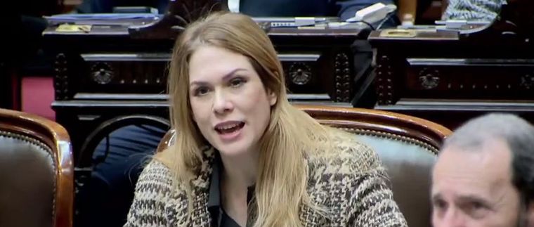 La diputada libertaria dijo que ella misma se está ocupando de distribuir alimentos a los comedores Foto: Captura de video