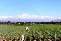 Foto: Municipalidad de Luján