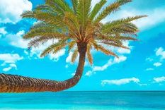 La IA puede ayudar a los viajeros a programar sus vacaciones, según sus preferencias Foto: archivo MDZ La IA puede ayudar a los viajeros a programar sus vacaciones, según sus preferencias Foto: archivo MDZ