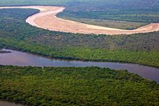 Foto: florayfaunaargentina.org