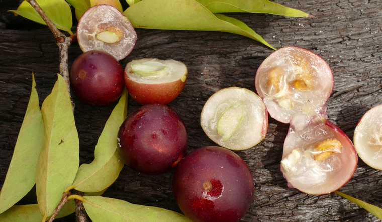 Hay una fruta con más vitamina C que la naranja y el kiwi, ideal para prevenir resfríos en esta época semi invernal. Foto: Shutterstock