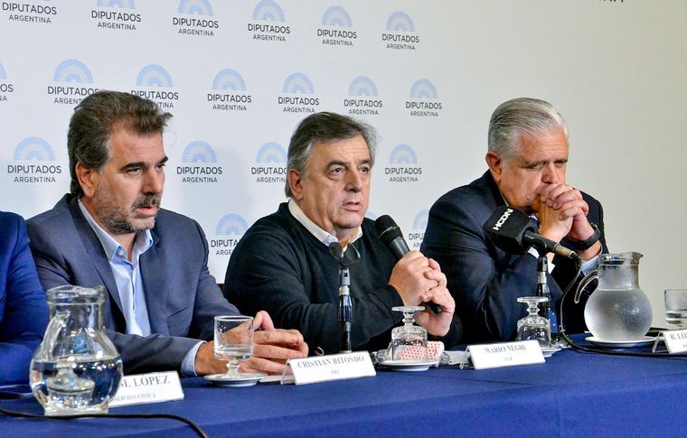 Mario Negri criticó el pedido de Javier Milei Foto: NA