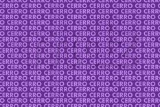 El acertijo visual de MDZ es uno de los difíciles de resolver Foto: Archivo MDZ