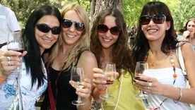 Brindis de amigas. Foto: archivo MDZ
