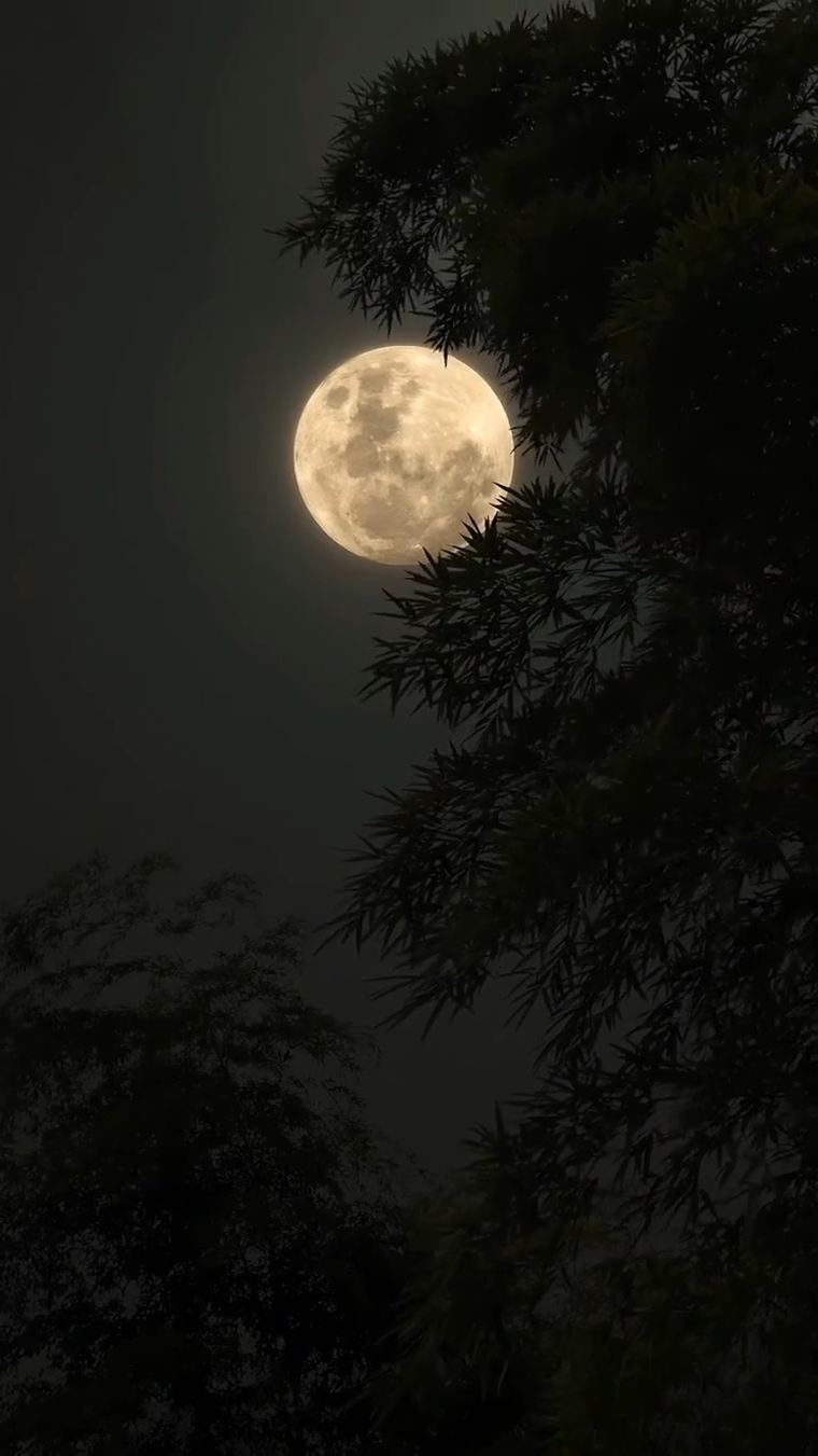 Eclipse lunar.
