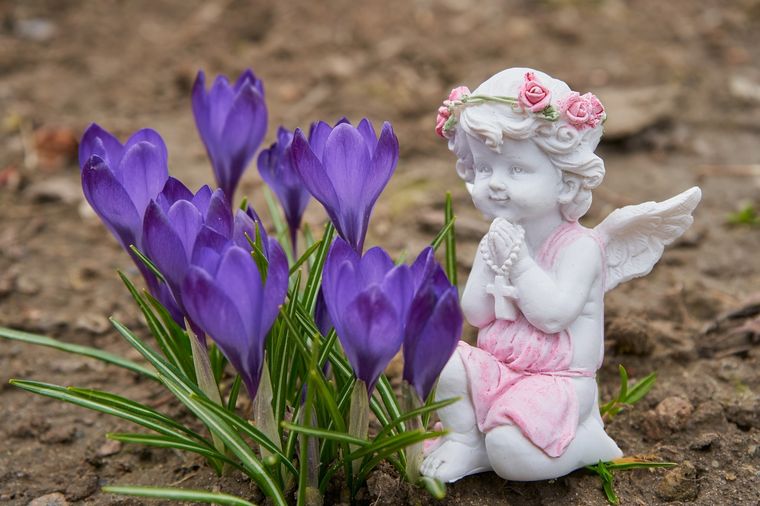 Cada signo tiene su ángel guardián. Foto: Fuente: Shutterstock