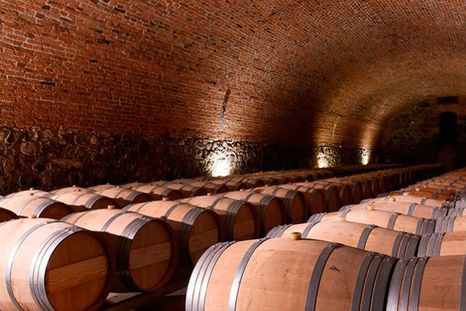 La idea de esta iniciativa es fortalecer el turismo y revalorizar la historia, la cultura y la identidad vitivinícola del departamento mediante una articulación público-privada. La idea de esta iniciativa es fortalecer el turismo y revalorizar la historia, la cultura y la identidad vitivinícola del departamento mediante una articulación público-privada.