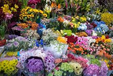 Escoge una... cualquiera.