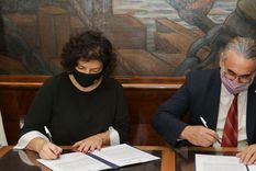 argentina cada vez mas cerca del cannabis