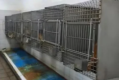 El sótano se encuentra en un tercer subsuelo donde no hay luz natural Foto: Agencia noticias Argentinas