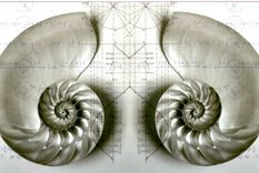 Foto: experienceinstatistics.blogspot.com