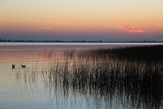 Los atardeceres en Chascomús obligan a bajar un cambio.