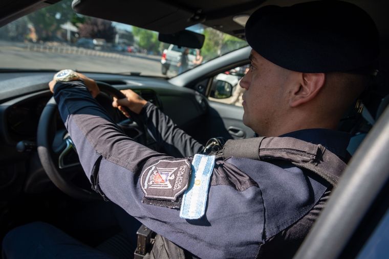 La Policía de Mendoza secuestró 60 kilos de aceitunas y detuvo a seis personas en San Rafael Foto: Ministerio de Seguridad de Mendoza