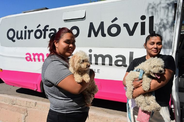 El operativo veterinario se realizará con turnos previos.