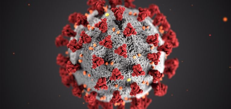 Enemigo El coronavirus ha causado estragos durante 2020.