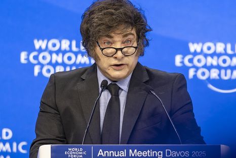 Javier Milei eligió, una vez más, un tema sensible para atacar a Cristina Fernández de Kirchner. Javier Milei eligió, una vez más, un tema sensible para atacar a Cristina Fernández de Kirchner.