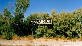 El tren a Chile que pasará por el Sur genera dudas.&nbsp;