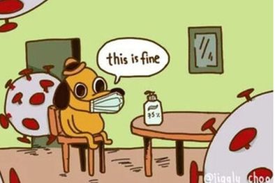 MDZol | nuestra investigación revela que los memes sobre Covid-19 podrían ayudar a las personas a sentirse más confiadas en su capacidad para lidiar con la pandemia