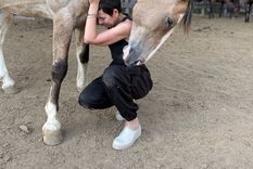 Esta técnica sigue expandiéndose en diversos ámbitos terapéuticos y se posiciona como una alternativa para quienes buscan una forma diferente de explorar su mundo emocional Foto: Instagram/luzaura.analaura