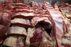 Foto: ALF PONCE / MDZ