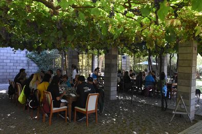 MDZol | Foto: Gentileza