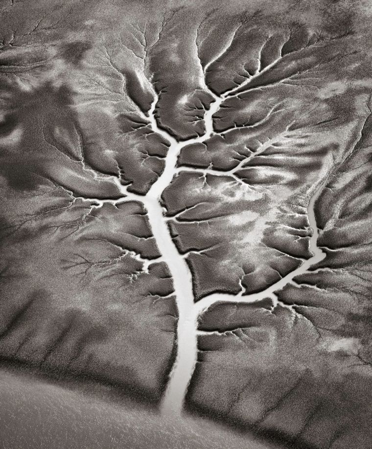 Eliseo Miciu, Eliseo Miciu,