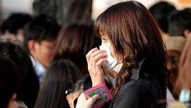 Un plan de reforestación masivo ha terminado provocando trastornos a millones de personas en Japón. Un plan de reforestación masivo ha terminado provocando trastornos a millones de personas en Japón.