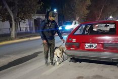 Personal de Canes revisando un auto. Foto: Gentileza.