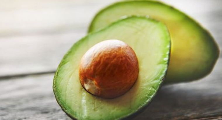 ¿La palta es buena o mala para nuestros amigos de cuatro patas? Foto: Archivo