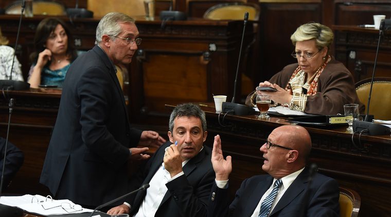 Foto: Pachy Reynoso/MDZ