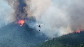La provincia de Chubut se encuentra conmocionada por los incendios.