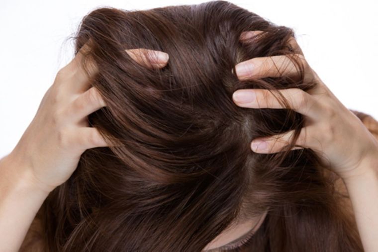 Estos trucos debes implementar para cuidar tu salud capilar Foto: Shutterstock