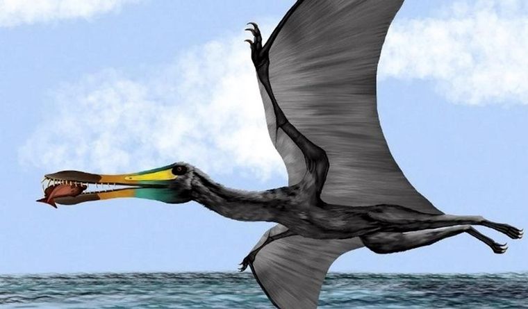 Había aves de enorme envergadura en la prehistoria. Foto: Efe.