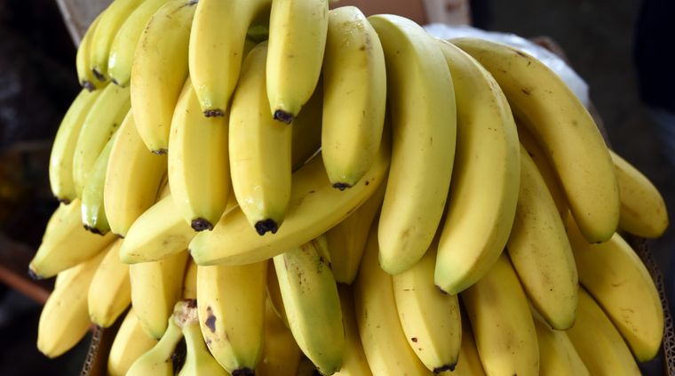 Paraguay suspendió el envío de bananas a la Argentina Foto: ALF PONCE MERCADO / MDZ