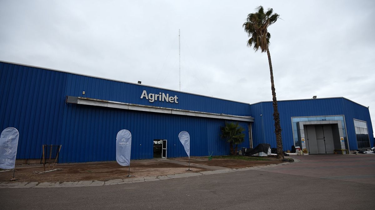 De importadores a ser los mayores fabricantes de Sudamérica de un producto  clave para el agro