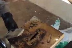 El Servicio Penitenciario Federal (SPF) realizó operativos en diferentes cárceles Foto: captura video