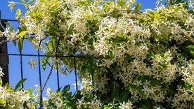 Fotos: Shutterstock Fotos: Shutterstock