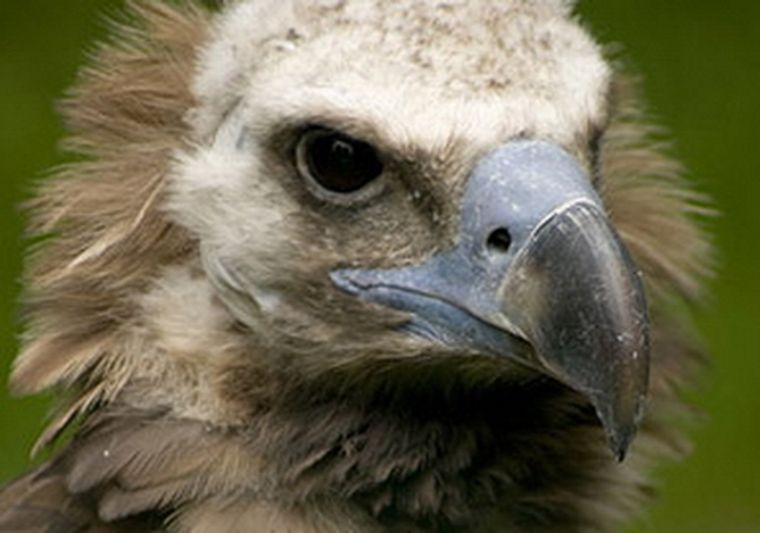 Foto: redjusticiafiscal.org