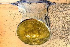 El disco duro en la basura contiene una enorme fortuna. Foto: Shutterstock.