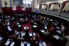 El Senado bonaerense discutirá la reelección de sus integrantes. Foto: Diario Popular