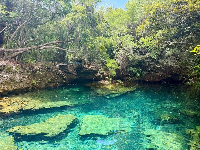 Reserva Ecológica Ojos Indígenas, un paraíso dentro de Punta Cana.&nbsp;
