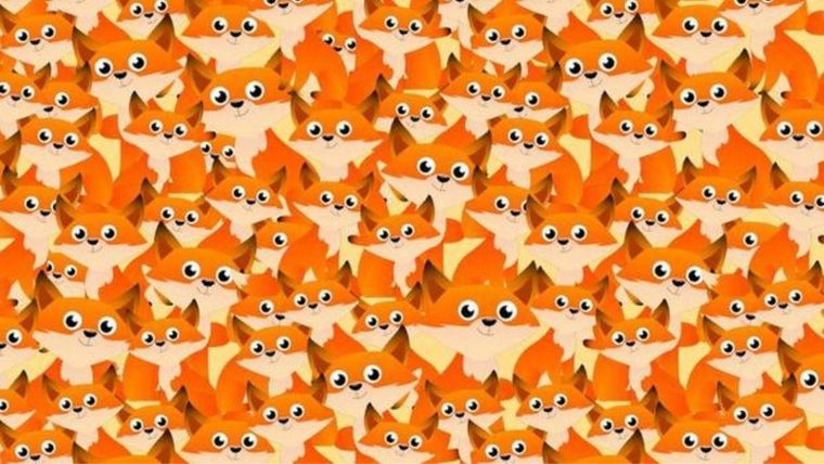 Acertijo visual, reto visual, ardilla Pinterest Foto: Archivo MDZ